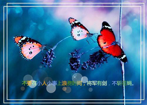都市小说至尊战皇章节目录阅读