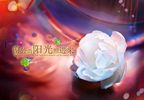 名人名言作文集合八篇