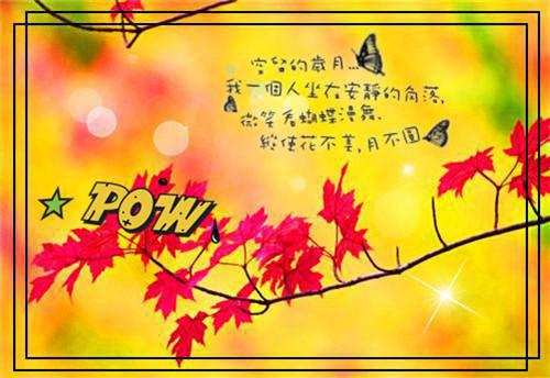 邹越演讲观后感