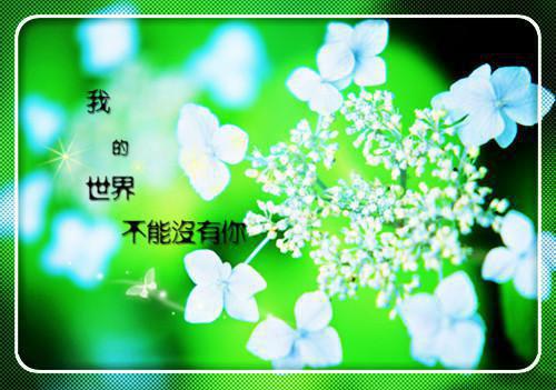 捐银助饷朱慈烺骆养性周奎小说_捐银助饷完结版阅读