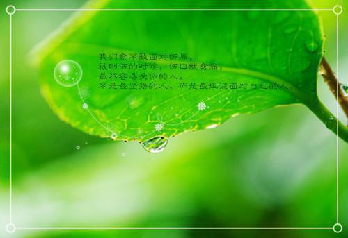 58526582阮冬灵裴南曜全文免费阅读