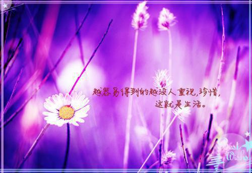 感觉真好作文