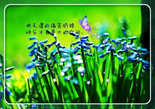 小说小皇叔神秘莫测全文阅读沐唯凤衍完结版阅读