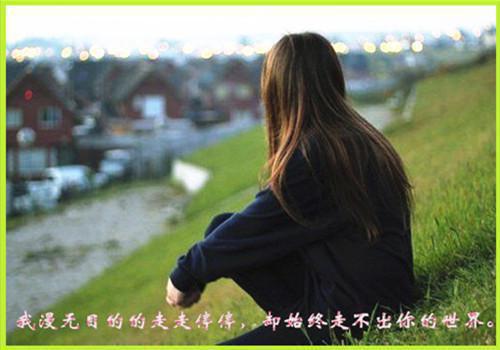 我体内养了只恶鬼小说张云惊悚全文阅读