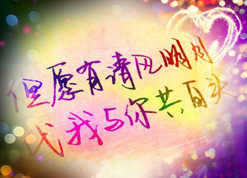 结婚纪念日叶念安全文阅读 苏漫歌章节阅读