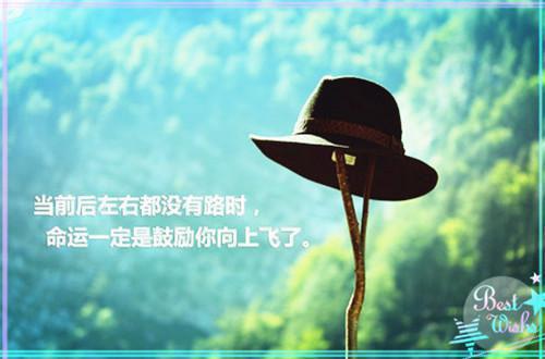 苏珞陆子熙小说 陆子熙苏珞免费阅读