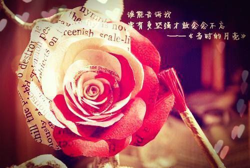 免费小说失忆后我和死对头一起种田by小鸭咪全章节阅读