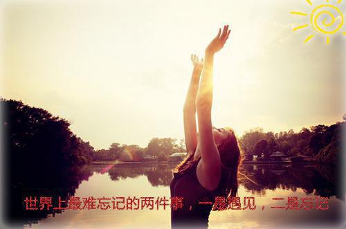 全网首发我离婚你不在意，我暴富你发癫小说叫什么(何安芷)（我离婚你不在意，我暴富你发癫）全书阅读纯净阅读