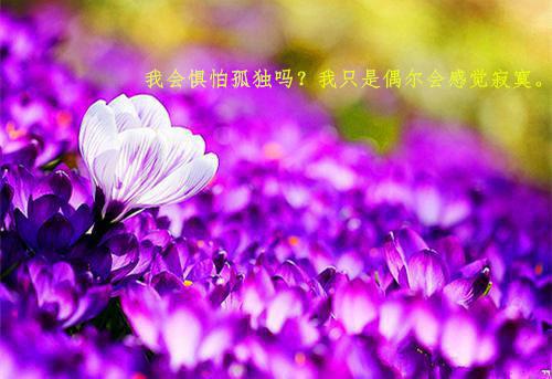 爸爸对宝宝说的话