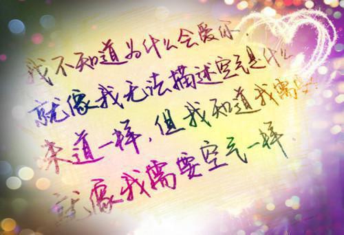 《签到从美食开始打卡》罗城陆无言小说全文完整版阅读