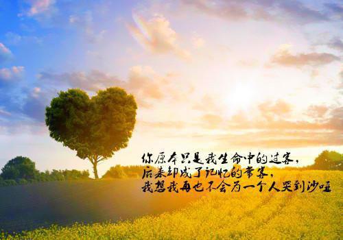 李浩陈小梅小说 李浩陈小梅我的传奇岁月免费阅读