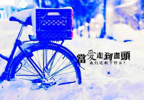 选择爱你的事情我不后悔小说 陈诗微赵天寒全本阅读