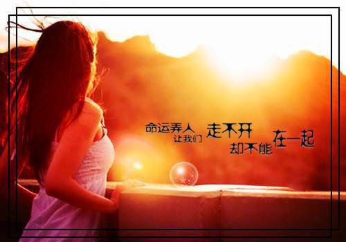 投标授权委托书范文6篇