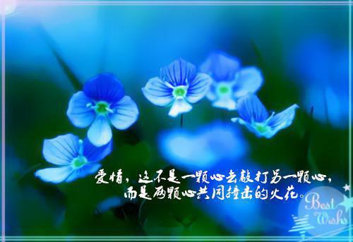 21句话帮你去掉忧愁和焦虑
