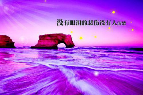 凌辰小说完本+外篇（娇妻凶猛，躺平的我无敌了）畅享阅读