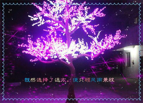 [完结]萧王遗子全章节阅读