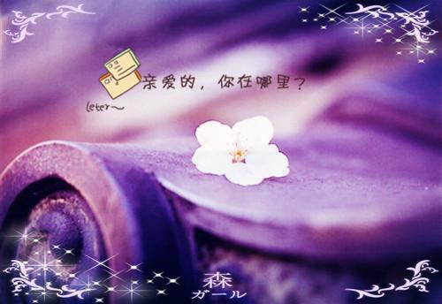 墨柔柔朱元若古代小说未来太子妃竟是个傻子全本阅读
