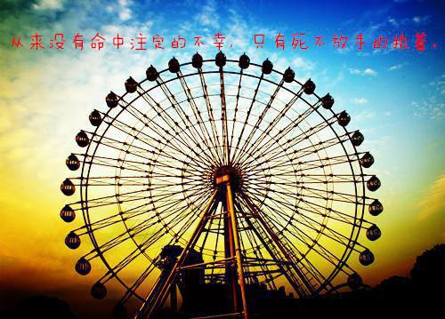 小说医妃淡定，王爷爱爬墙by白胖子爱吃瓜全文阅读