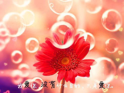 娑娜写的小说重生八零：甜宠娇妻致富忙小说全文阅读