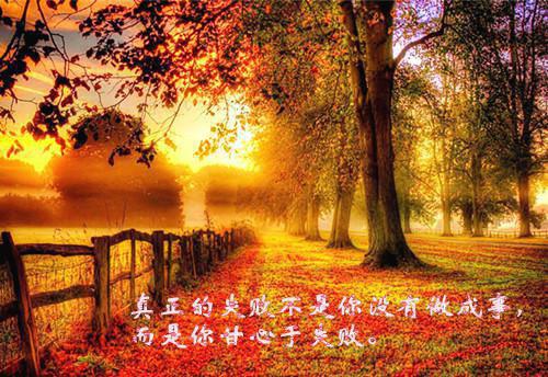 至尊天婿叶凌霄花好月圆小说最新章节阅读