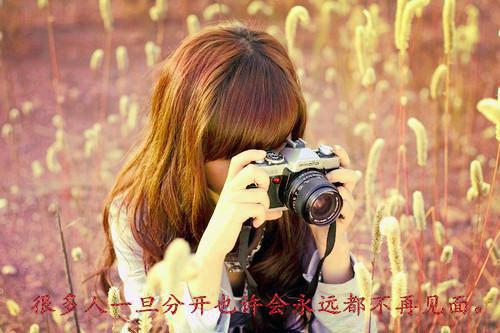 重生醒来他果断撕碎休书尽心尽力偿还公主的两世深情by非我良人在线阅读