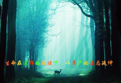 我的兄弟姐妹观后感