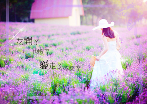 犹太人的格言