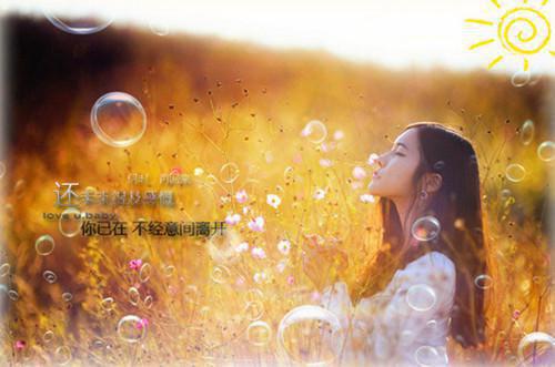 天亮夜湖边小说全章节 主角宇星全文未删减版阅读