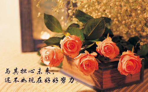 虐心终究是碰不到的白月光小说 萧苏芷南珺琦全书精彩阅读
