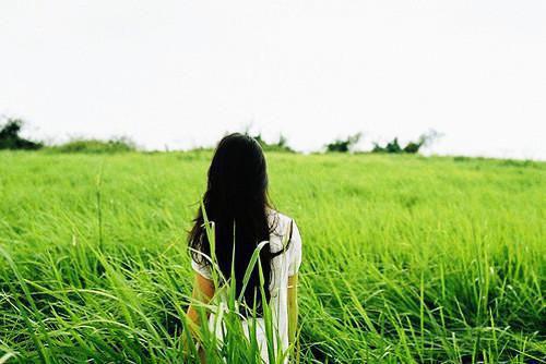 戏精夫妇在线秀恩爱小说裴晴晴宋北野章节阅读