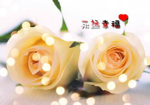 相亲即结婚熊孩子在线阅读-相亲即结婚全文免费阅读