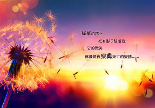 沧海而立写的小说平起县小说全文阅读