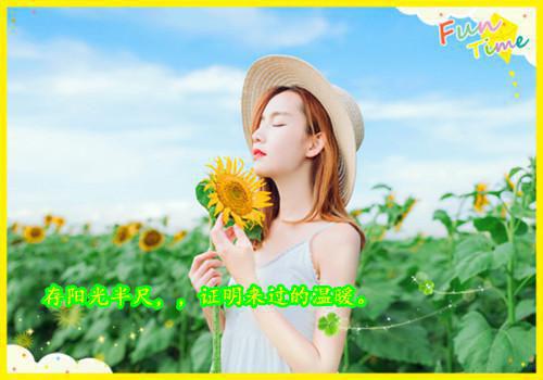 久昼写的小说贺太太我来接你回家最新阅读