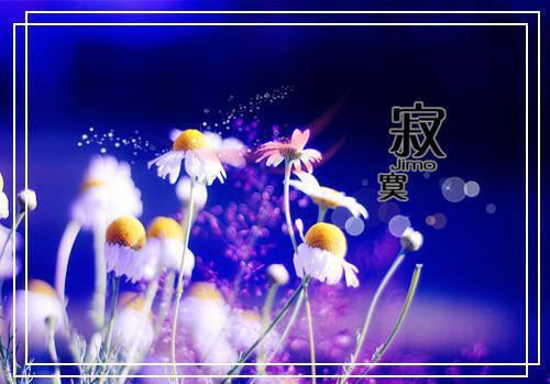 学包饺子作文400字