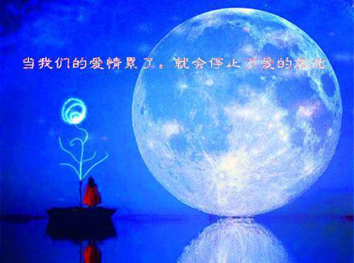 重生鬼手毒医全本小说（重生鬼手毒医）全文阅读