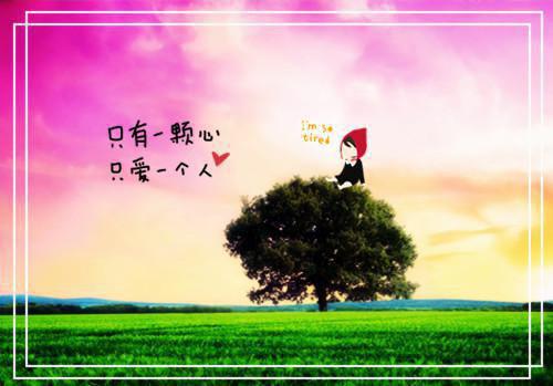 关于读后感的作文300字