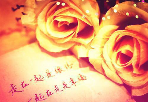席太太每天都想离婚凉落席靳南免费阅读 作者思我之心