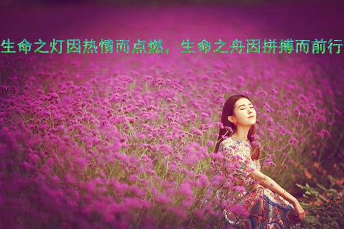 乱臣贼女无尘是好人还是坏人 乱臣贼女无尘身份解析