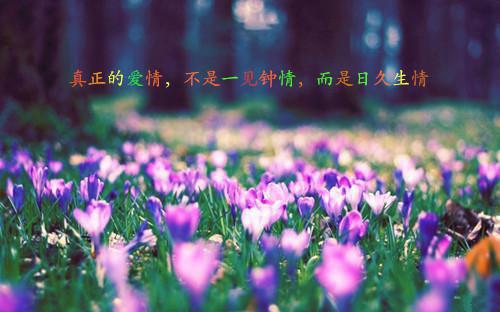 契约之下小说 契约之下免费阅读