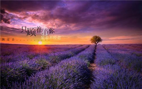 夺梦by非天夜翔全文免费阅读