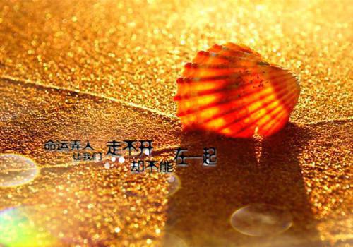 小说霍少夫人又在闹离婚主角为姜小雨霍锦彦免费阅读