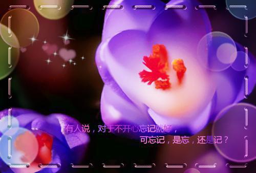 林飞陈雨菲小说 林飞陈雨菲极品小医神免费阅读