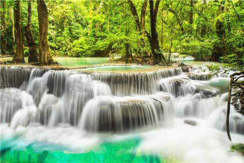 我和黑粉结婚了江小茶盛景 作者安知晓