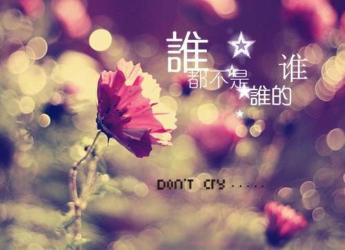 温柔学霸乔如（乔如江书华邱婷）全文免费阅读-温柔学霸乔如最新章节