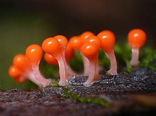 命被运逆全文阅读 生哥章节阅读