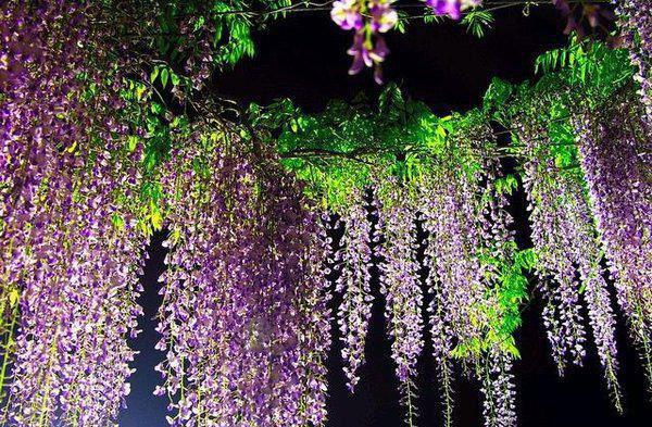 新上小说重生在80年代顾风吟最新章节阅读