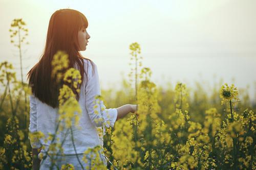 仙门第一婿云凌姜雨凝 仙门第一婿全文阅读