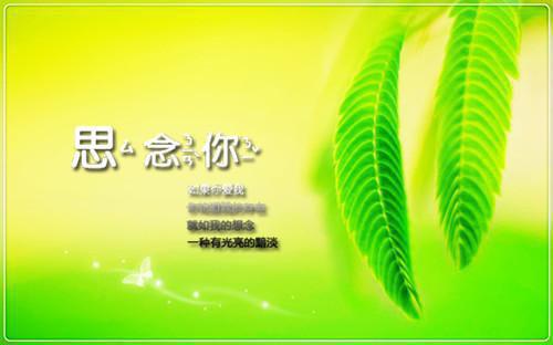 陆余柯夏舒：结局+番外新上热文（夏舒陆余柯）全篇免费版在线+无障碍结局