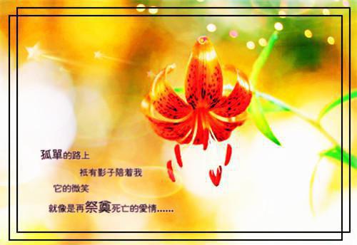 汤敏(惊！一觉醒来变成三个孩子的妈？)（汤敏）在线畅读+开篇大作+前传