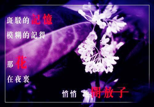 陆嘉芳向君唯小说（陆嘉芳向君唯小说）全文免费阅读无弹窗大结局_(陆嘉芳向君唯小说免费阅读)陆嘉芳向君唯小说无弹窗最新章节列表（陆嘉芳向君唯小说）